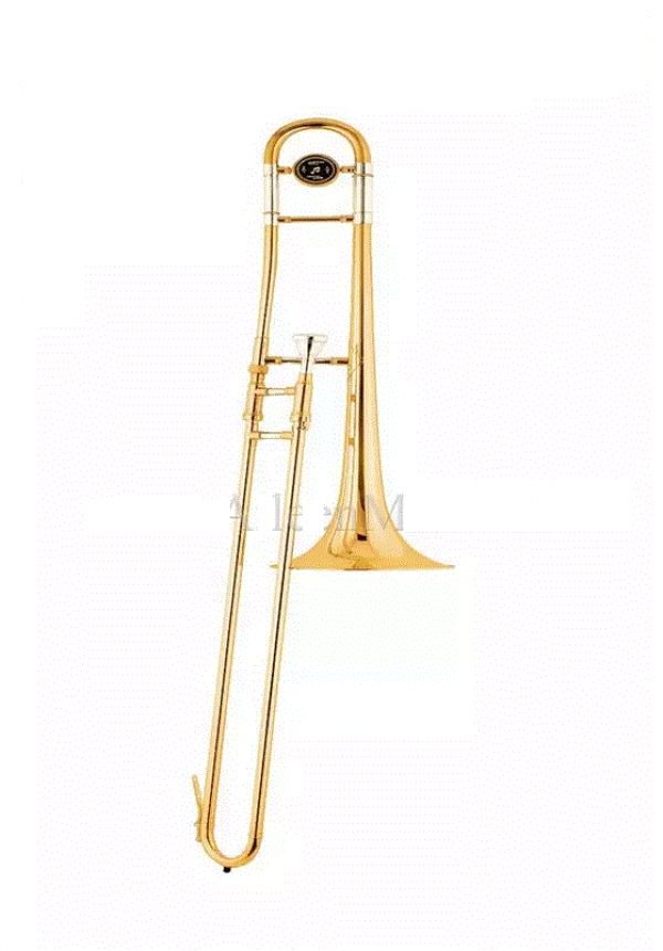 Τρομπόνι AILEEN TB9001G