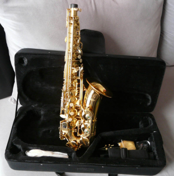 Professional Alto Saxophone (SP1011G)