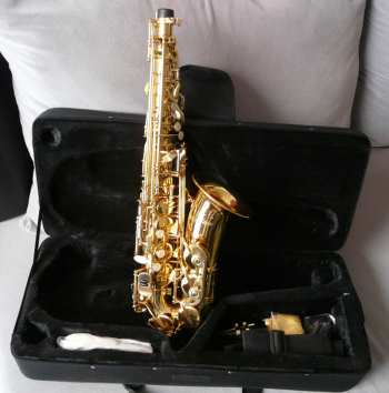 Σαξόφωνο Alto, AILEEN SP1011G
